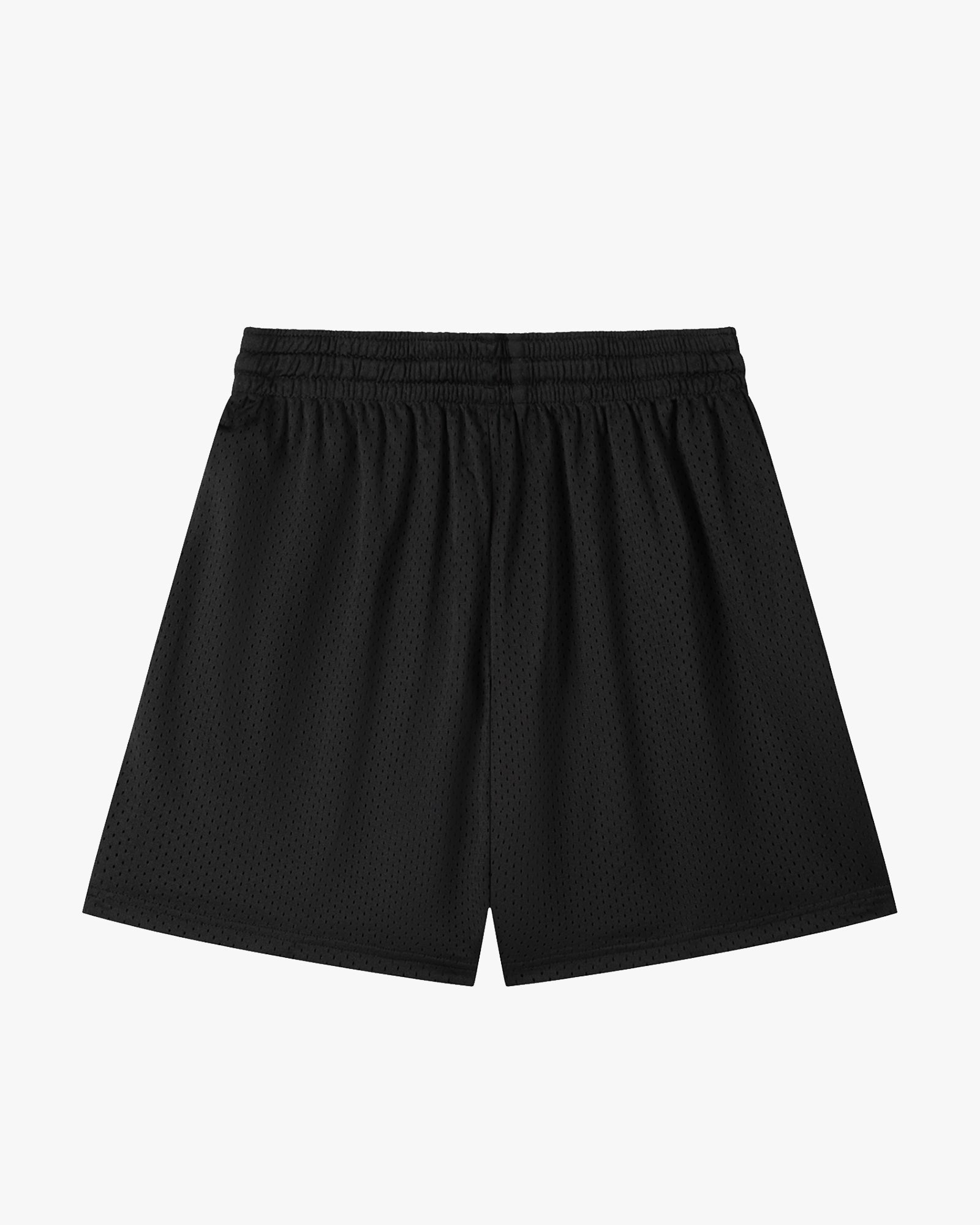 Classic Travel Mesh Shorts